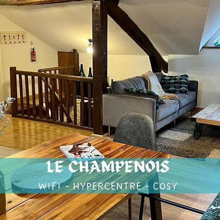Le Champenois, Avenue De Champagne Διαμέρισμα Επερνέ Εξωτερικό φωτογραφία