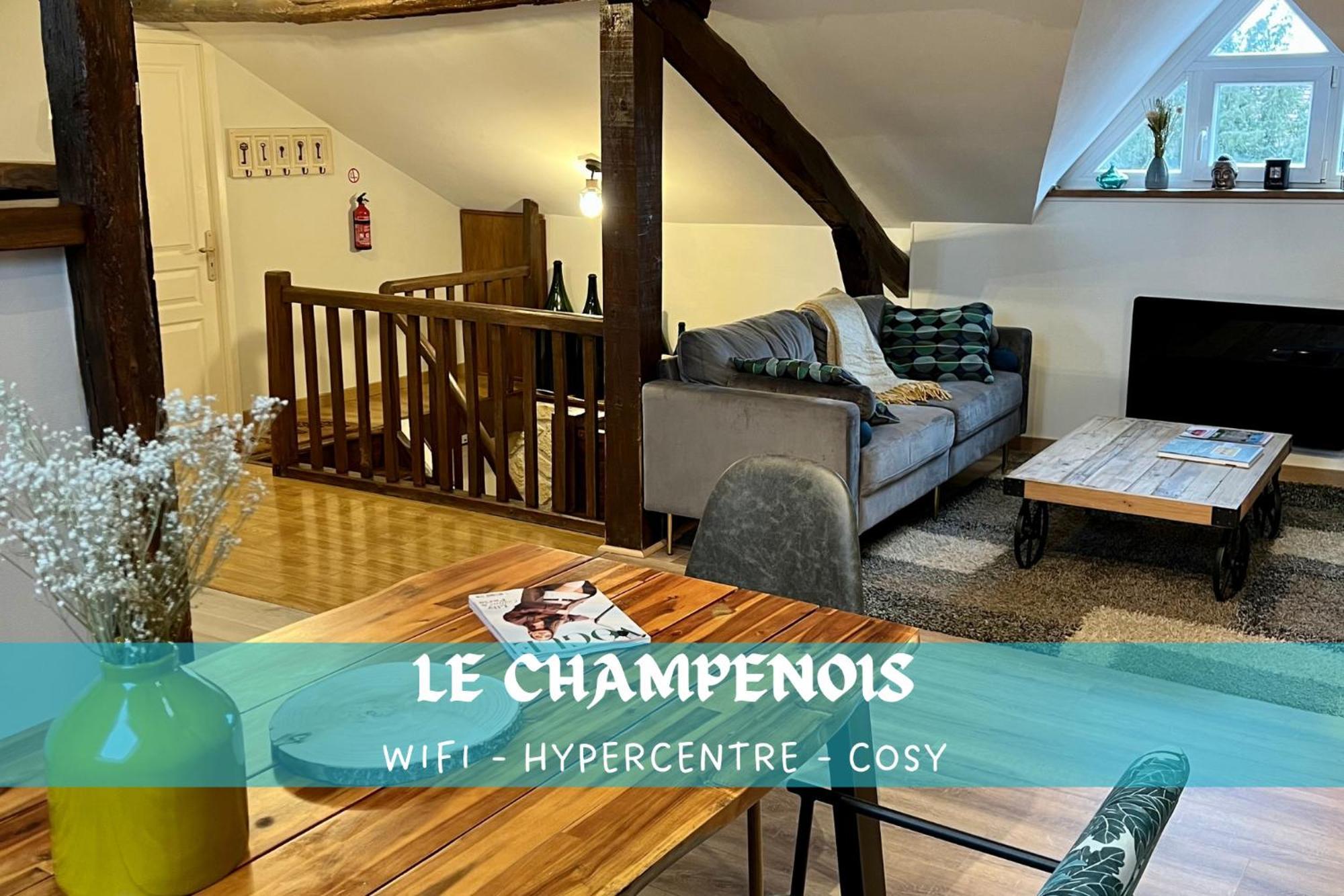 Le Champenois, Avenue De Champagne Διαμέρισμα Επερνέ Εξωτερικό φωτογραφία